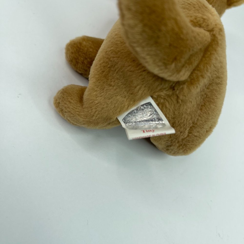 Ty Beanie Babies Tiny the Chihuahua Dog 5" With Tags Sep 8 1998 - Picture 5 of 5